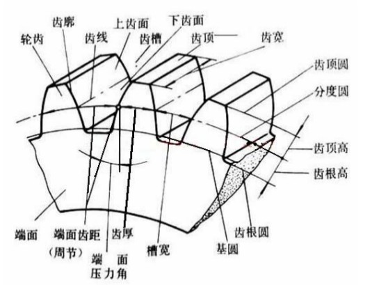 晟邦齒輪減速機齒輪各部名稱