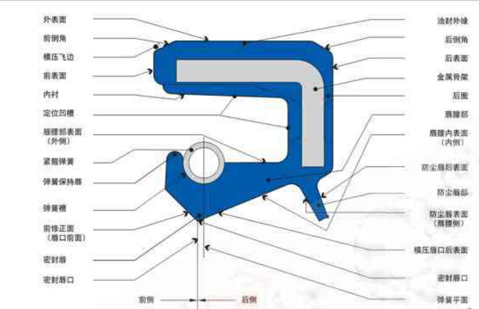 油封各部位主要名稱和術語